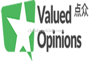 Valued Opinions 点众